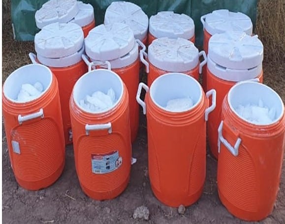 ¡Golpe al narco! Ejército y GN aseguran 340 kilos de metanfetamina afuera de una casa en Sinaloa