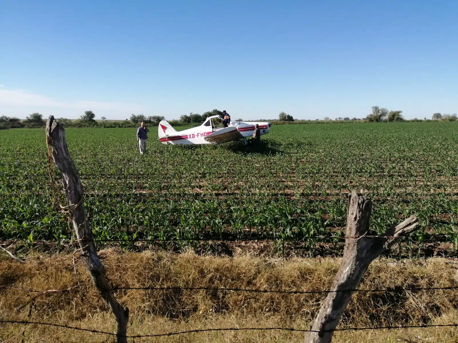 No fue desplome: Avioneta aterriza de emergencia en tierras de cultivo en “El Tamarindo”, Culiacán