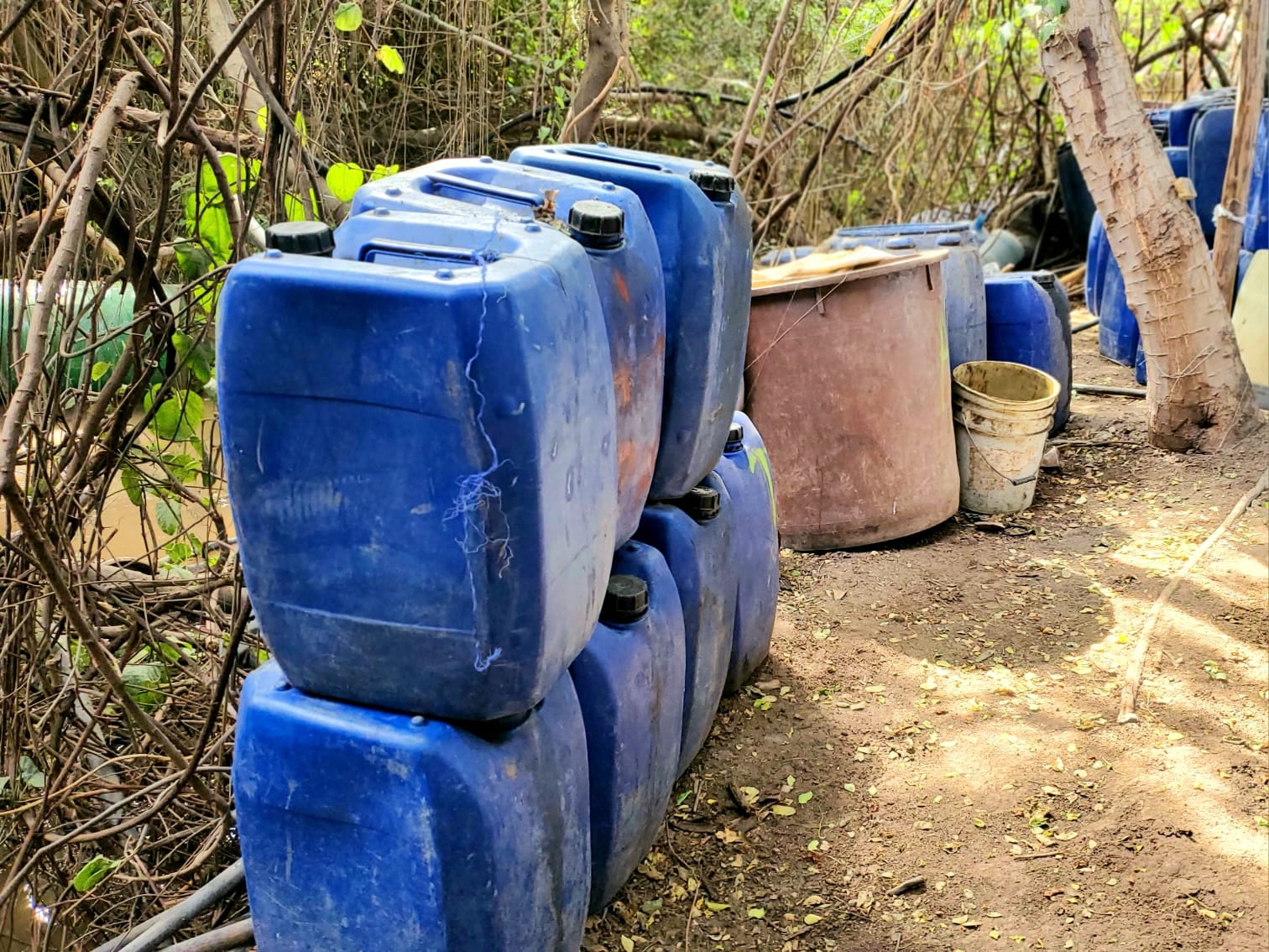 Otro megalaboratorio del Cártel de Sinaloa es desmantelado en Angostura