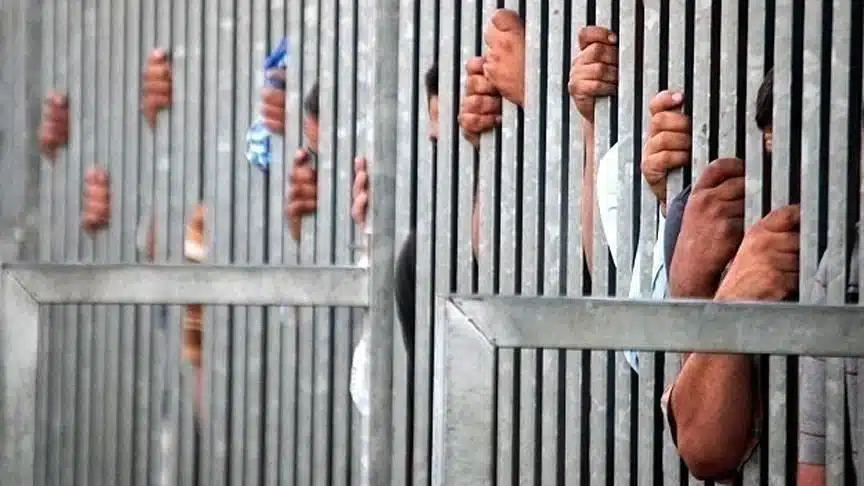 liberan presos amnistía