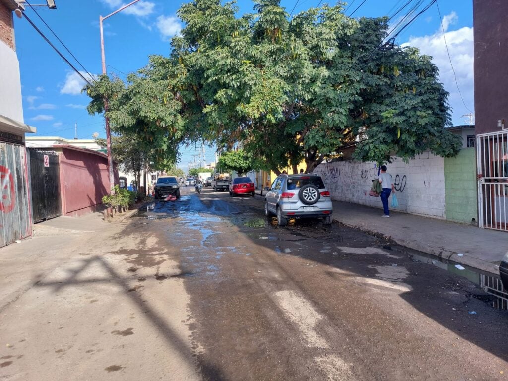 manifestación