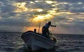 Aumentan el ritmo de captura: Pescadores no advierten escasez de pescado y marisco en Cuaresma