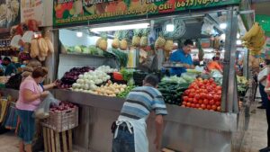 verduras