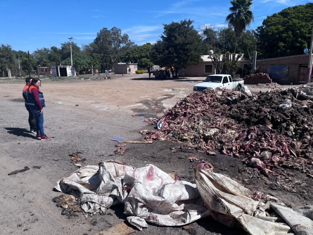 restos-vísceras-comunidad-Ahome