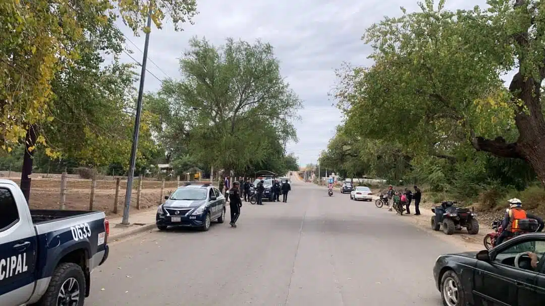 vehículos-asegurados-Guasave-policiaca