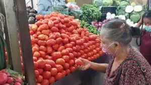 verduras