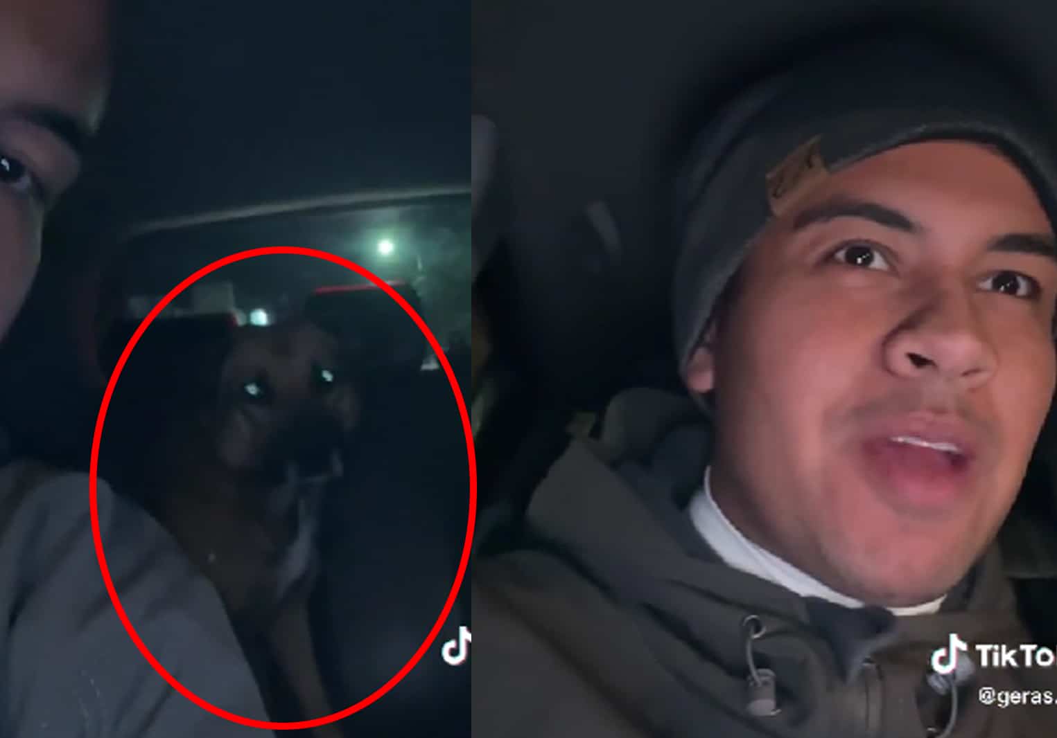 ¡Ah caray! Piden un UBER en Michoacán y el pasajero es un perro