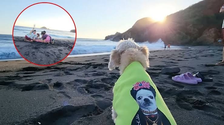 ¡Conmovedor! Dan último adiós a su querida perrita; video se viraliza