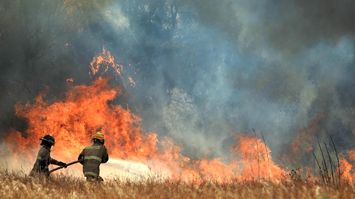 ¡Las llamas toman terreno en Chile! Autoridades reportan 13 muertos tras incendios ok