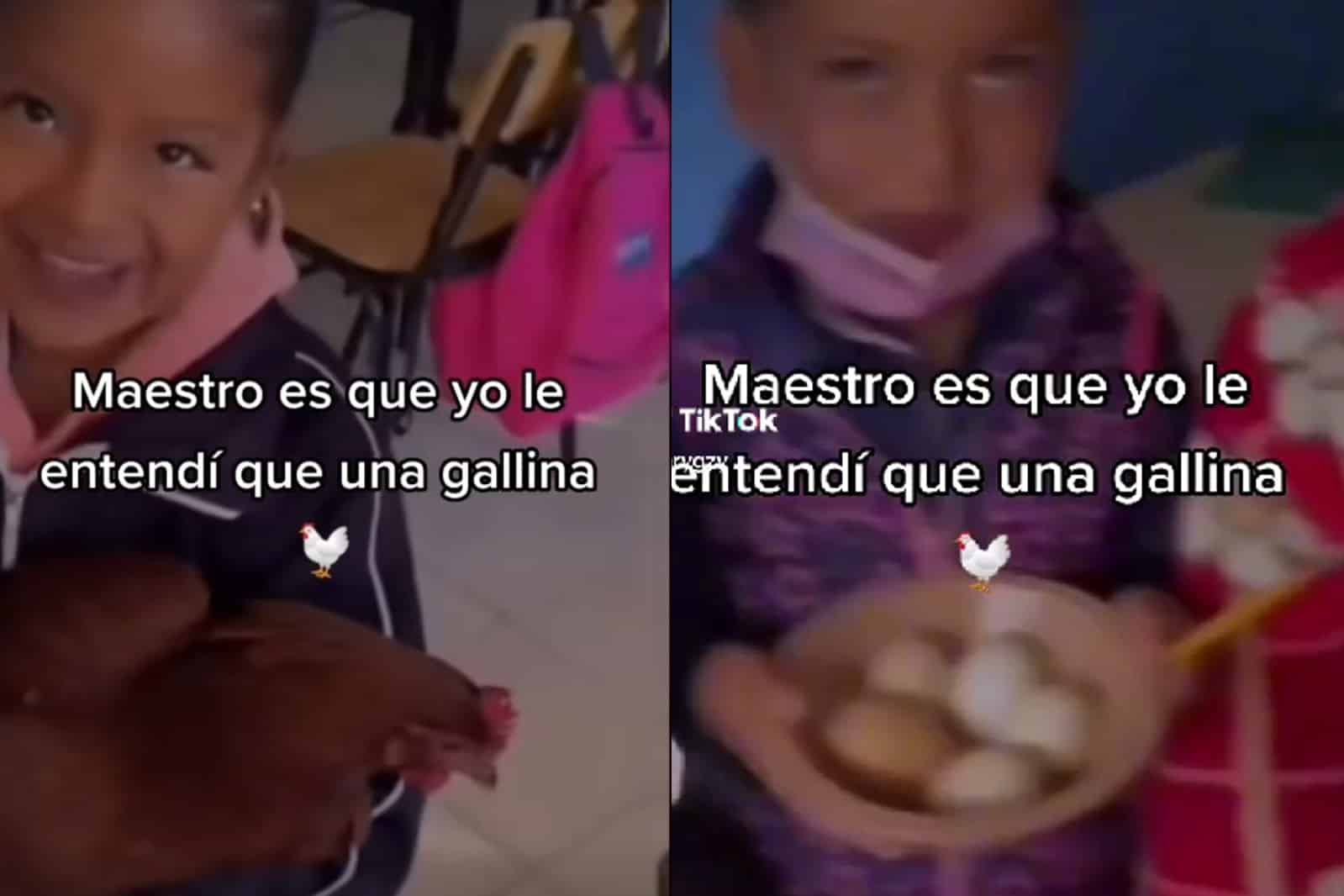 ¡Muy obediente! Le encargan cáscaras de huevo y mejor lleva una gallina viva