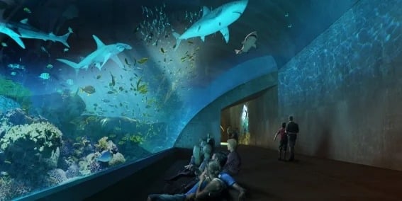 Acuario Mazatlán Mar de Cortez