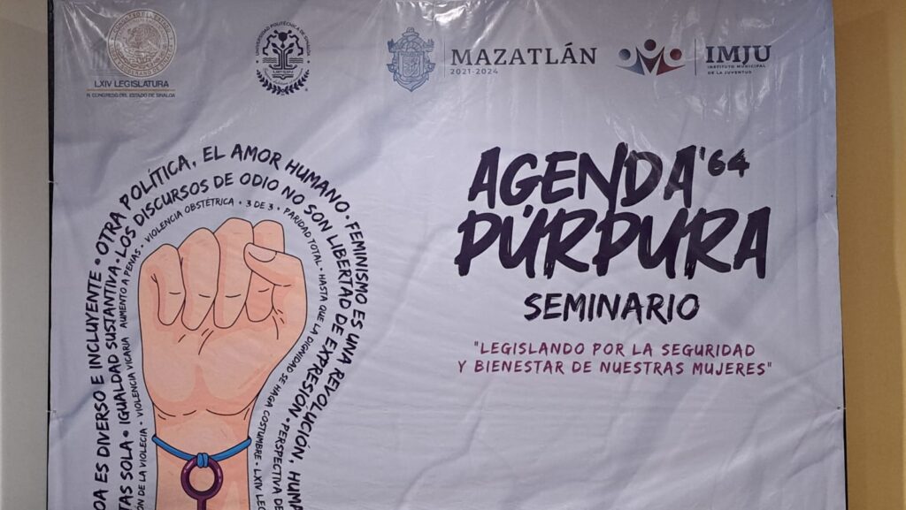 Agenda 64 Púrpura en defensa de las mujeres