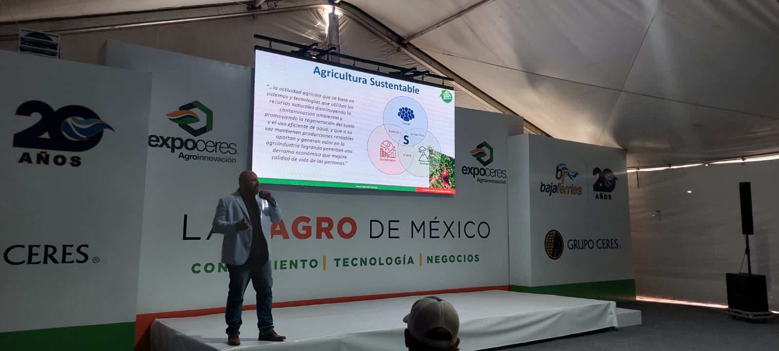 Alfredo Montoya Algacell