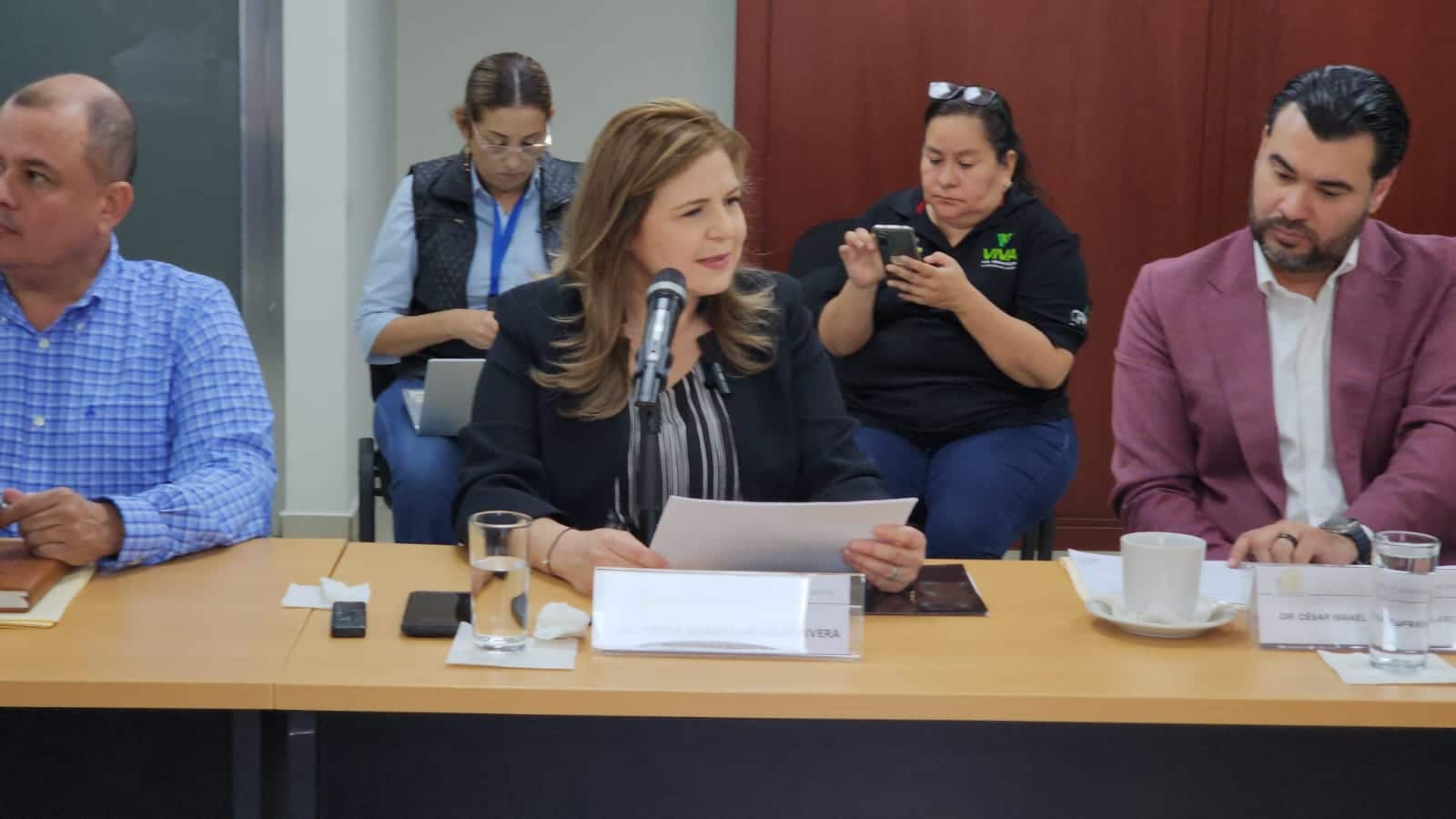 Auditora ASE PAAVI 2023