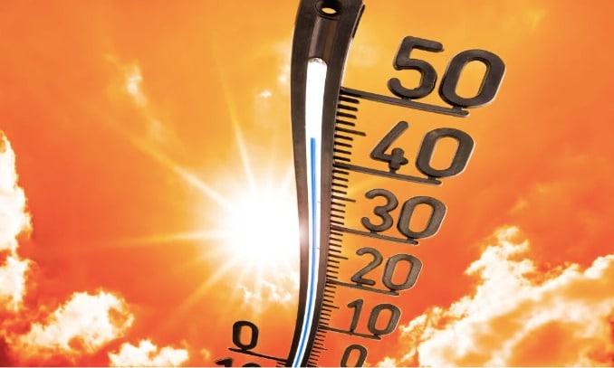 Calor Clima Sinaloa Abánico