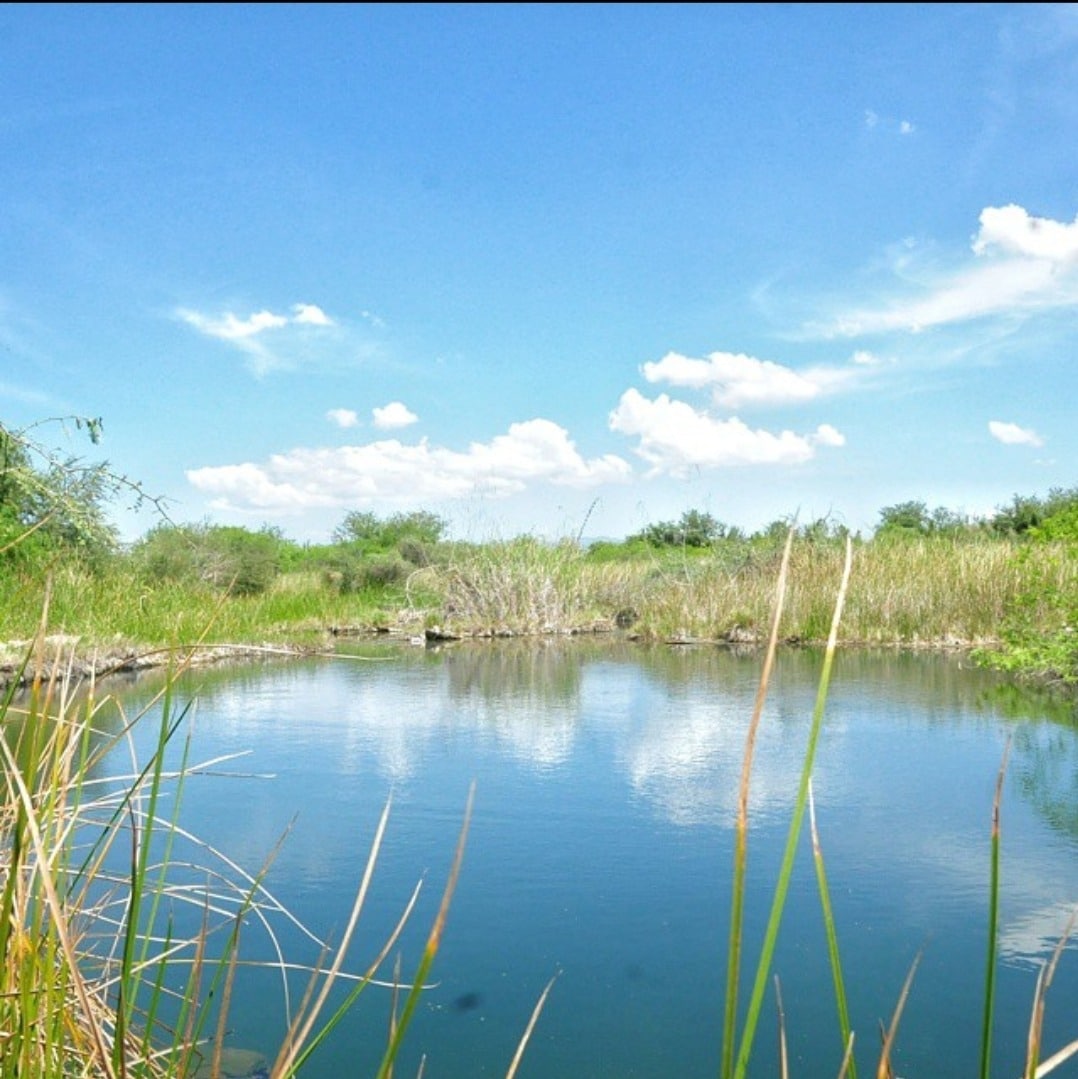 Ciénaga de Casal Guamúchil