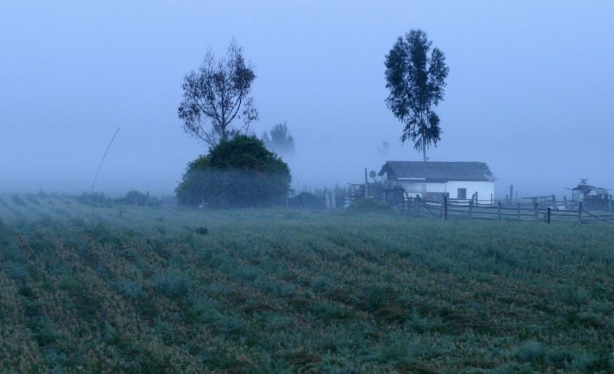 Clima Sinaloa