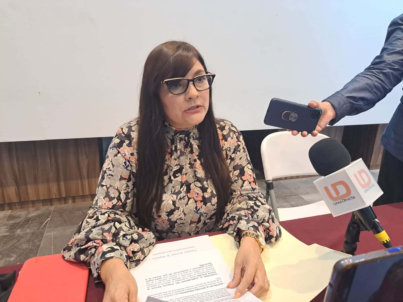 Diputada Victoria Sánchez