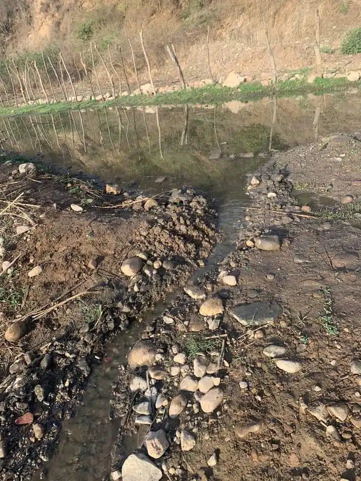 Filtración de aguas negras causa de contaminación en Choix, acusa el PAN y desmiente el Ayuntamiento