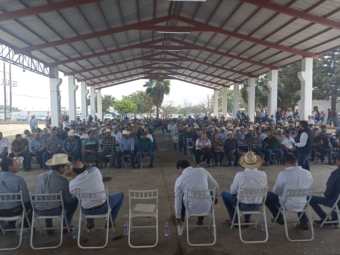 Gobierno debe presionar a industriales para que den base de 100 dólares para venta de maíz Campesinos