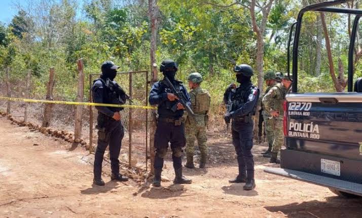 Hallan leones y armas de grueso calibre en Quintana Roo