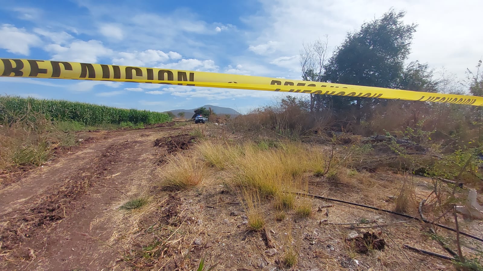 Hombre asesinado degollado Culiacán
