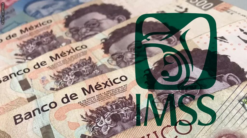 Foto: IMSS