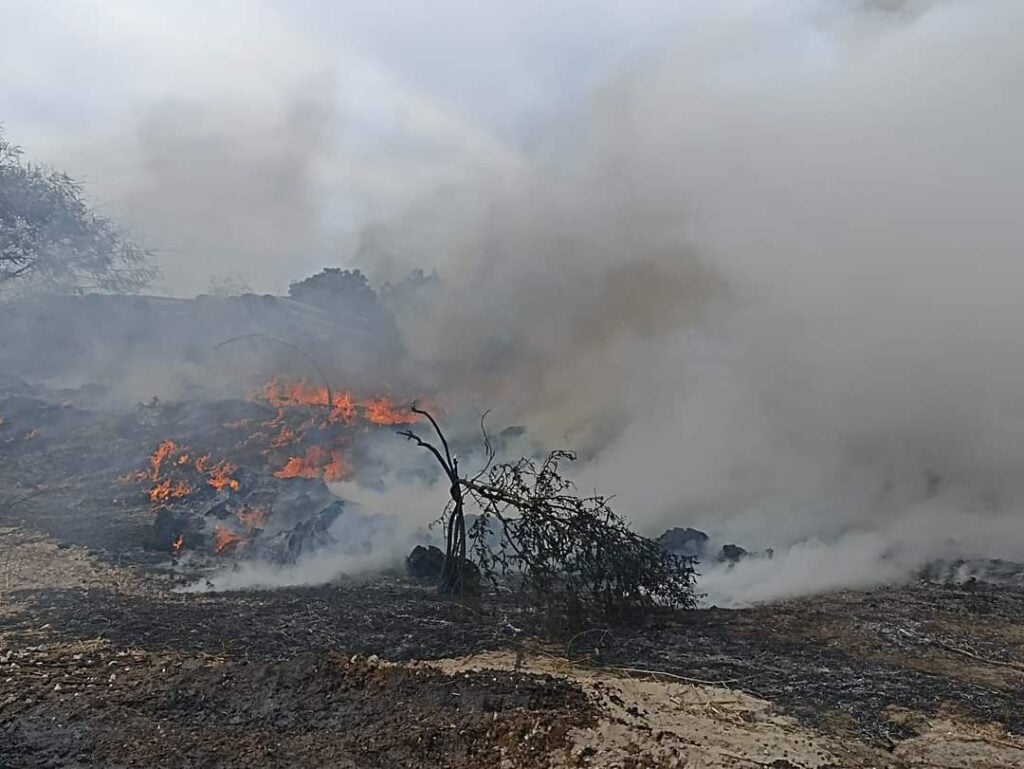 Incendio Maleza Mazatlán Policíaca