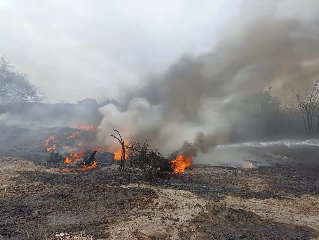 Incendio Maleza Mazatlán Policíaca