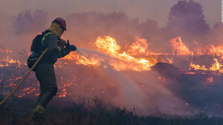 Incendio forestal en España desplaza a más de mil 500 personas