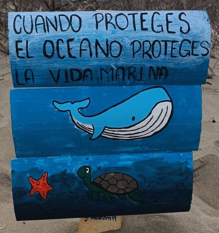 Limpieza Isla Las Copas