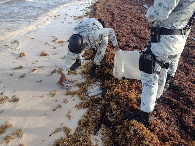 Localizan 20 kilos de cocaína entre el sargazo en Quintana Roo