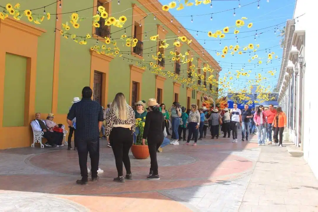 Mocorito Girasoles