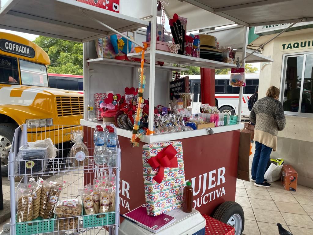 Mujer Productiva Ventas Guasave