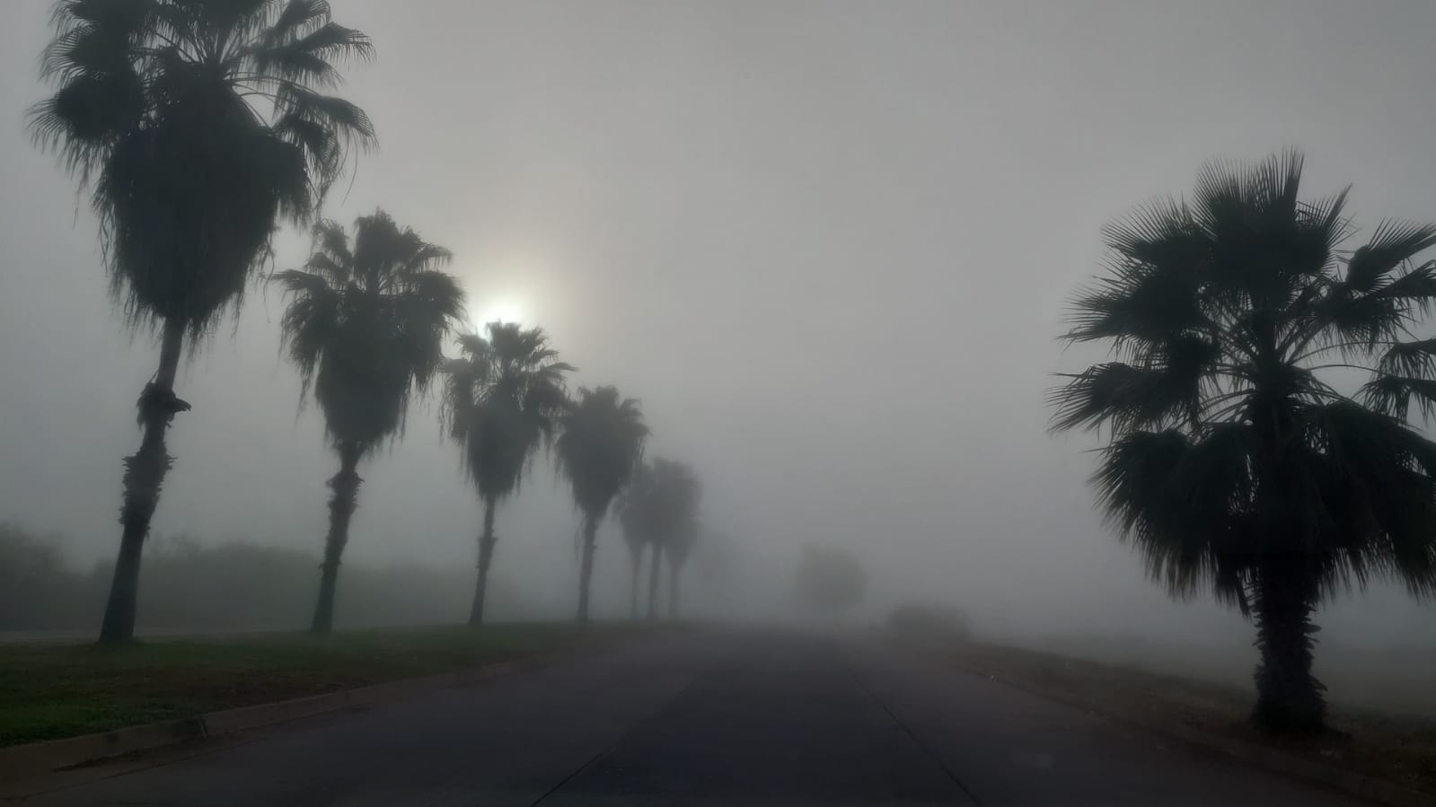 Neblina Los Mochis