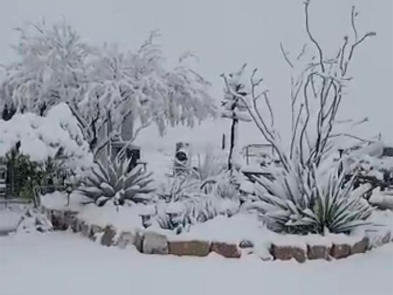 VIDEO: Intensa nevada cubre de blanco a municipio de Coahuila
