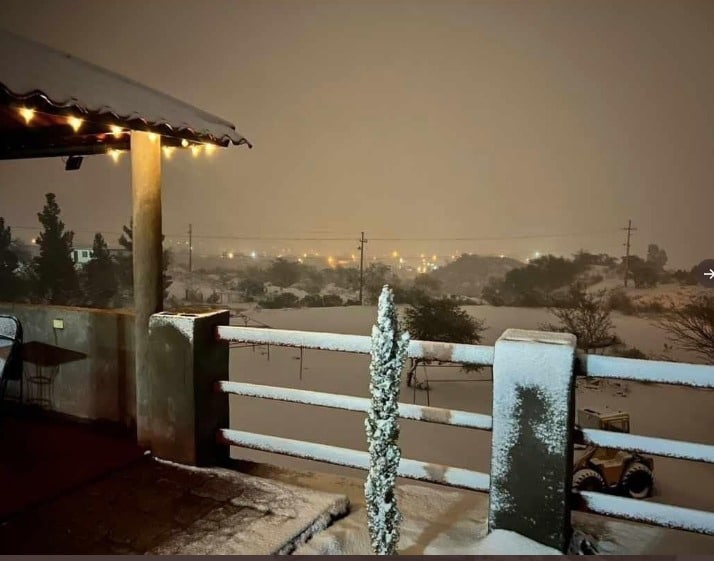Nogales Nieve