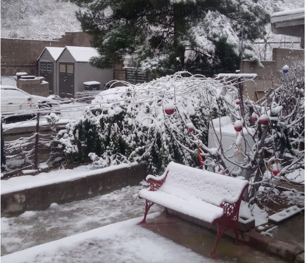 Nogales Nieve