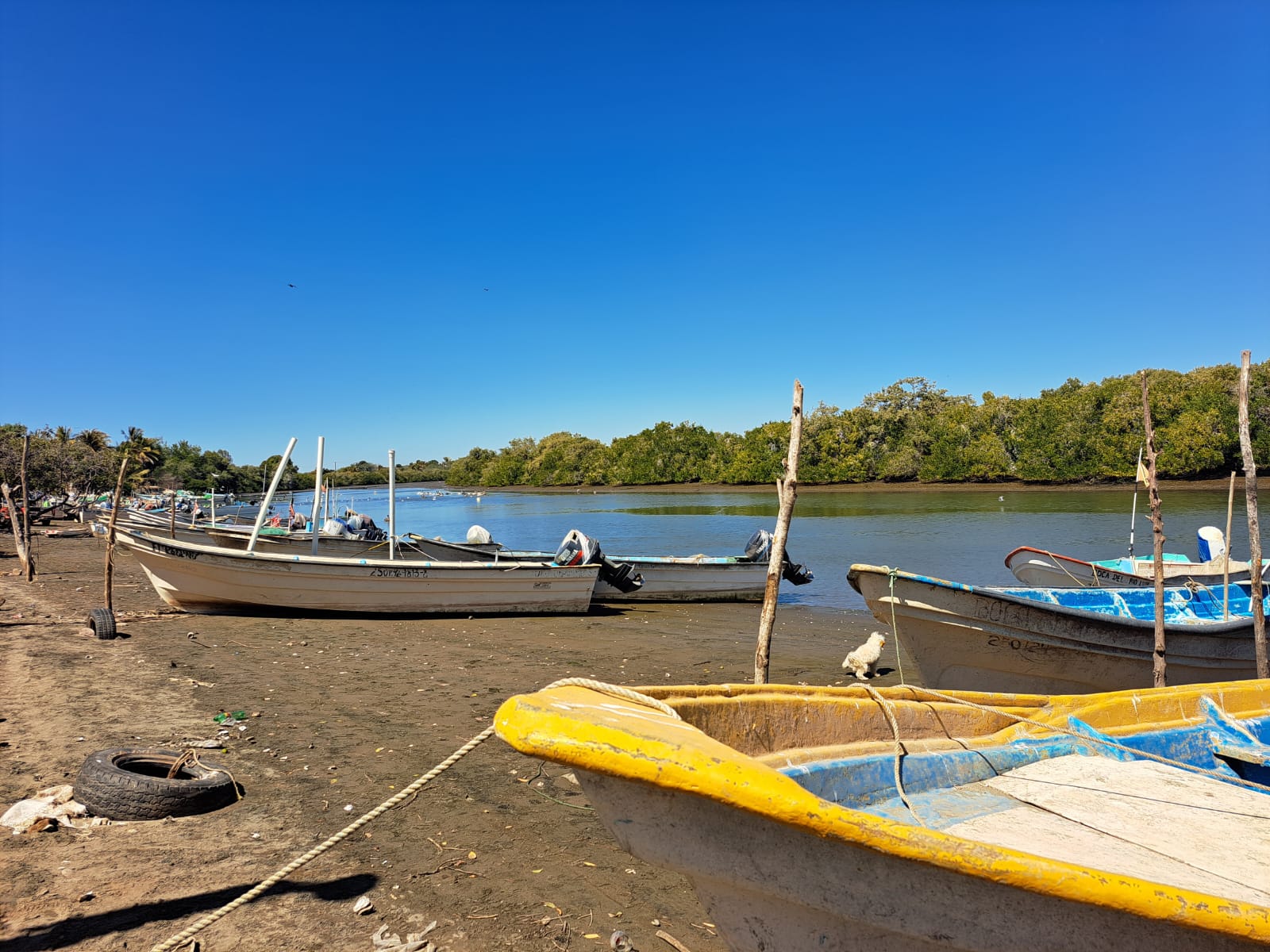 Pescadores Guasave