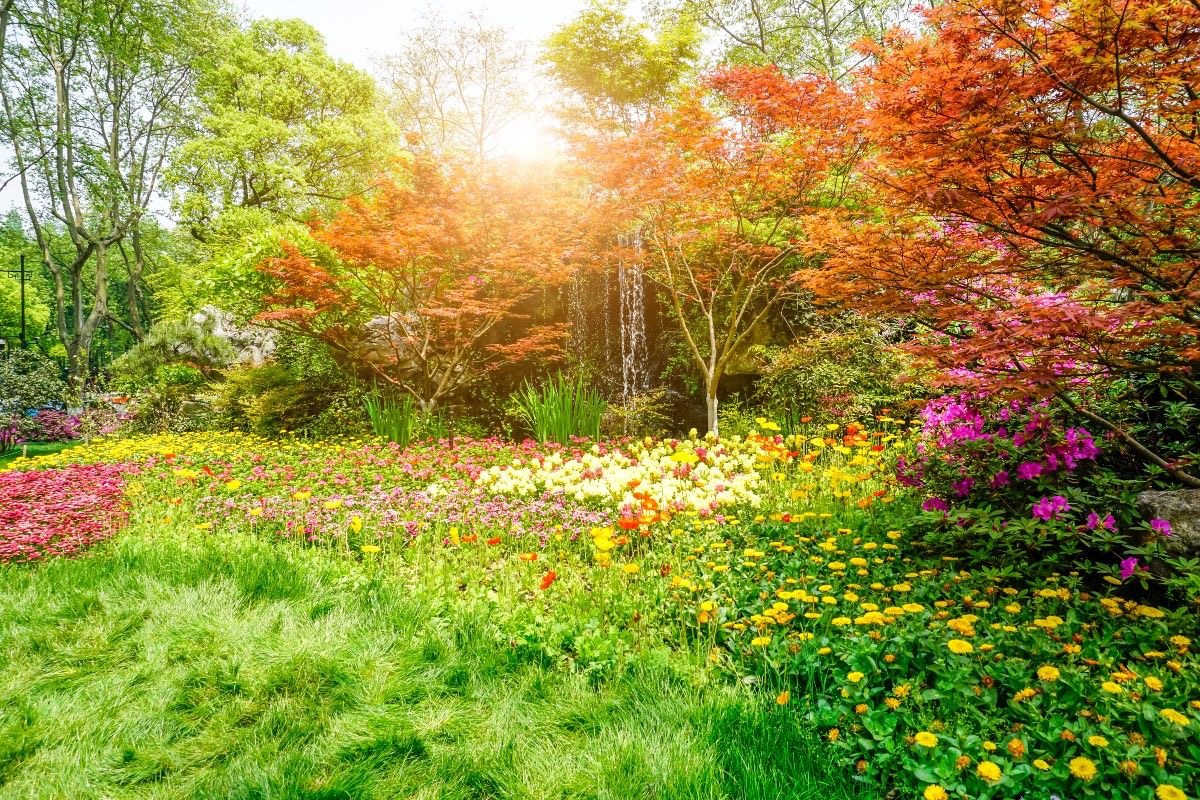 Primavera