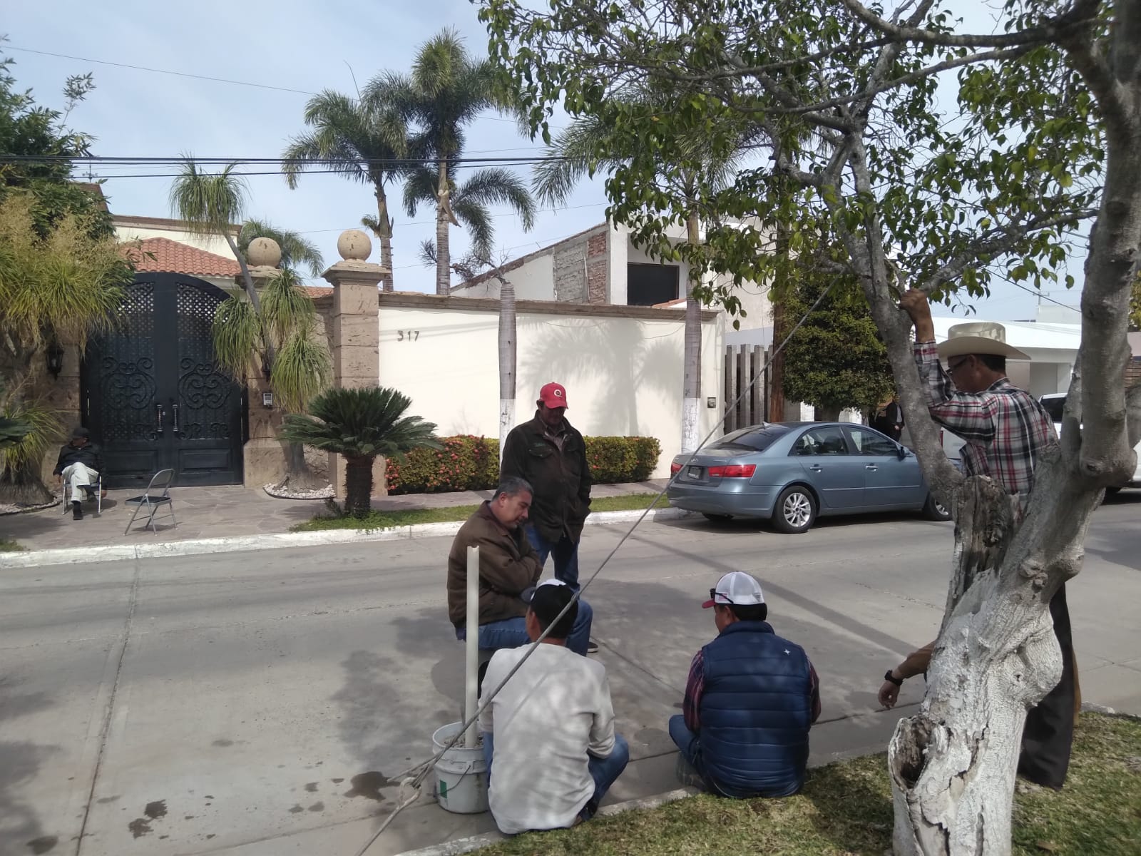Productores Maiceros Trigueros Los Mochis Multigranos