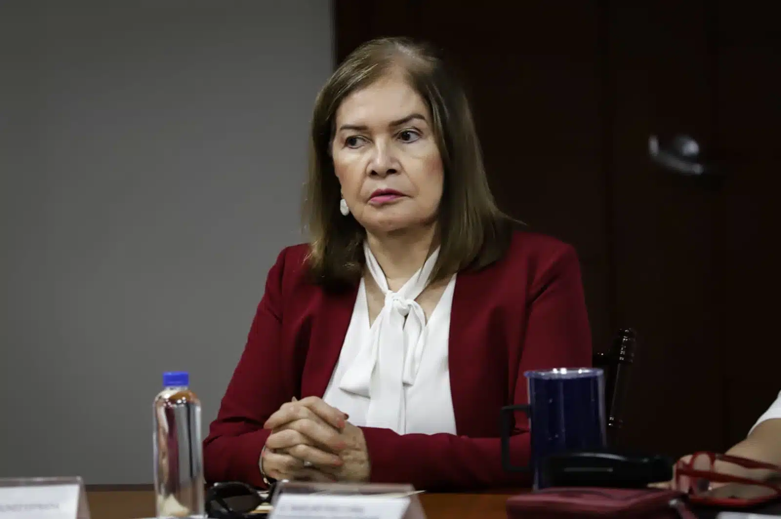 Sara Bruna Quiñónez Estrada FGJE Fiscal Sinaloa