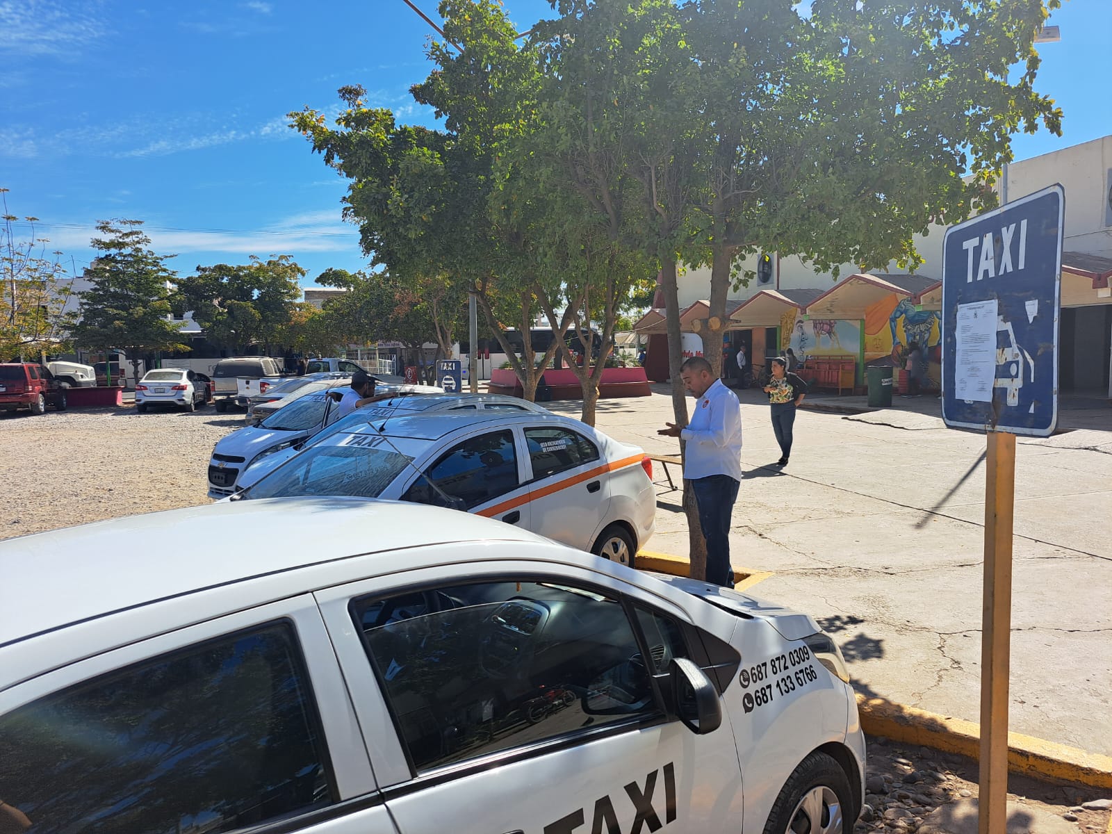 Taxis Guasave