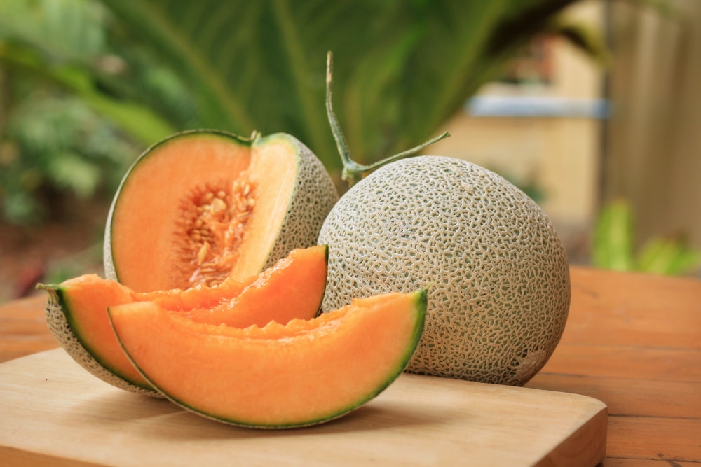 Te traemos las razones por las cuales debes consumir melón