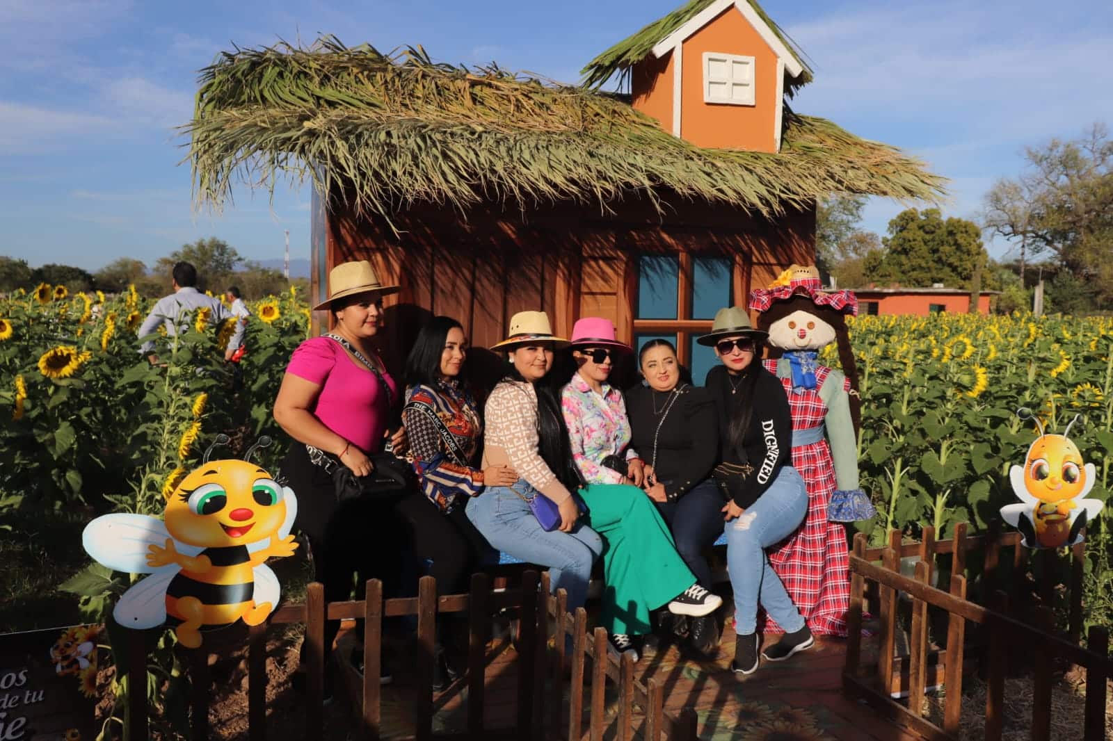 ¡No se lo pueden perder! Ya está abierto el Campo de girasoles en Mocorito