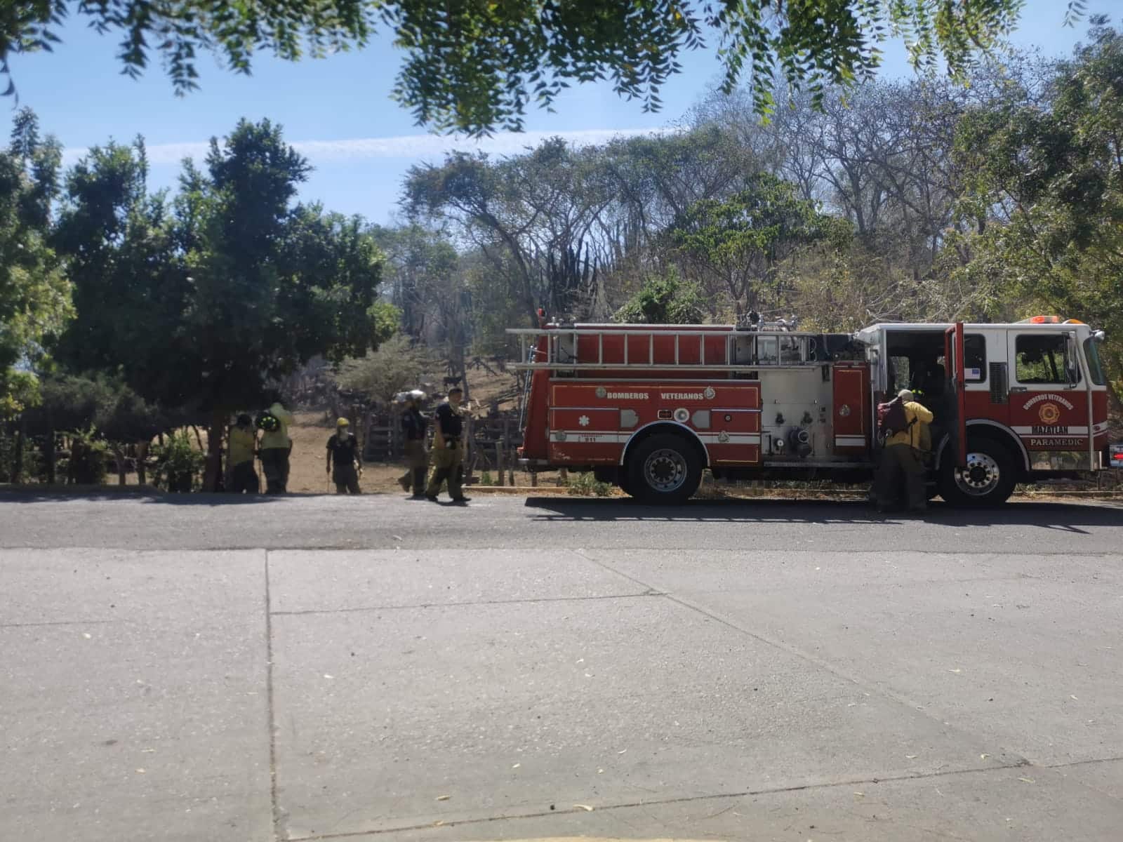 ¡A pala y mochila! Combaten Bomberos Veteranos gran incendio forestal en Nuevo San Marcos, Mazatlán