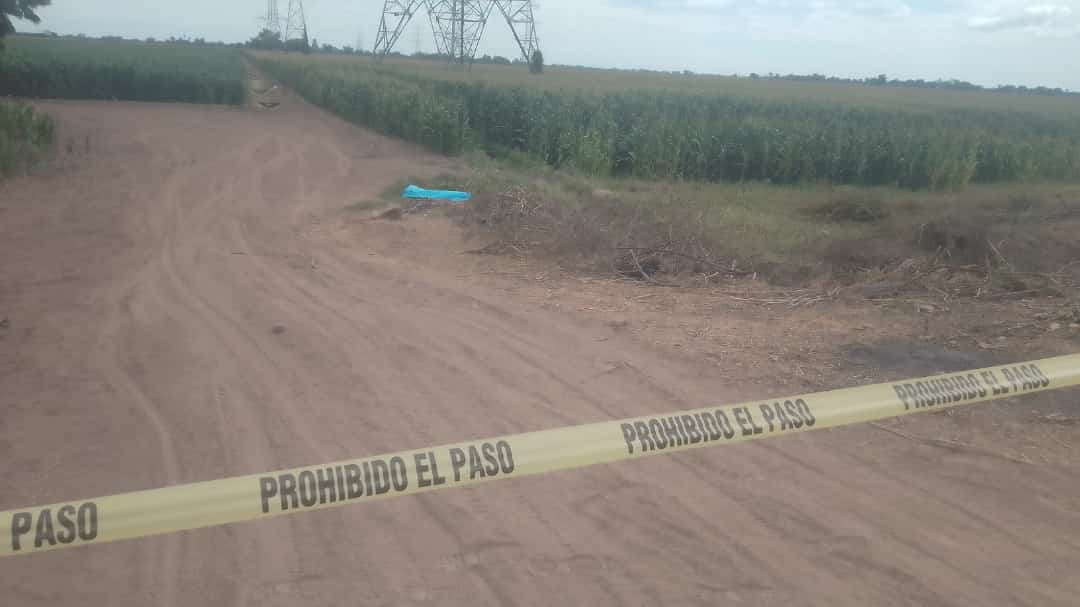 Asesinado a golpes en Culiacán