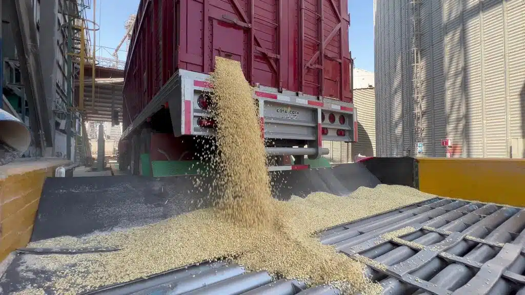 Productores demandan al gobierno solución al precio de los granos: AARFS