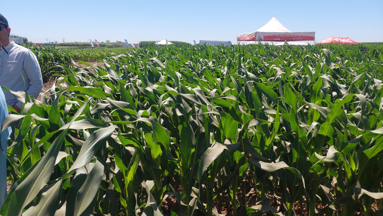 ¡En la ExpoCeres! Demuestra Provivi que es posible tener un cultivo limpio; sin uso de pesticidas