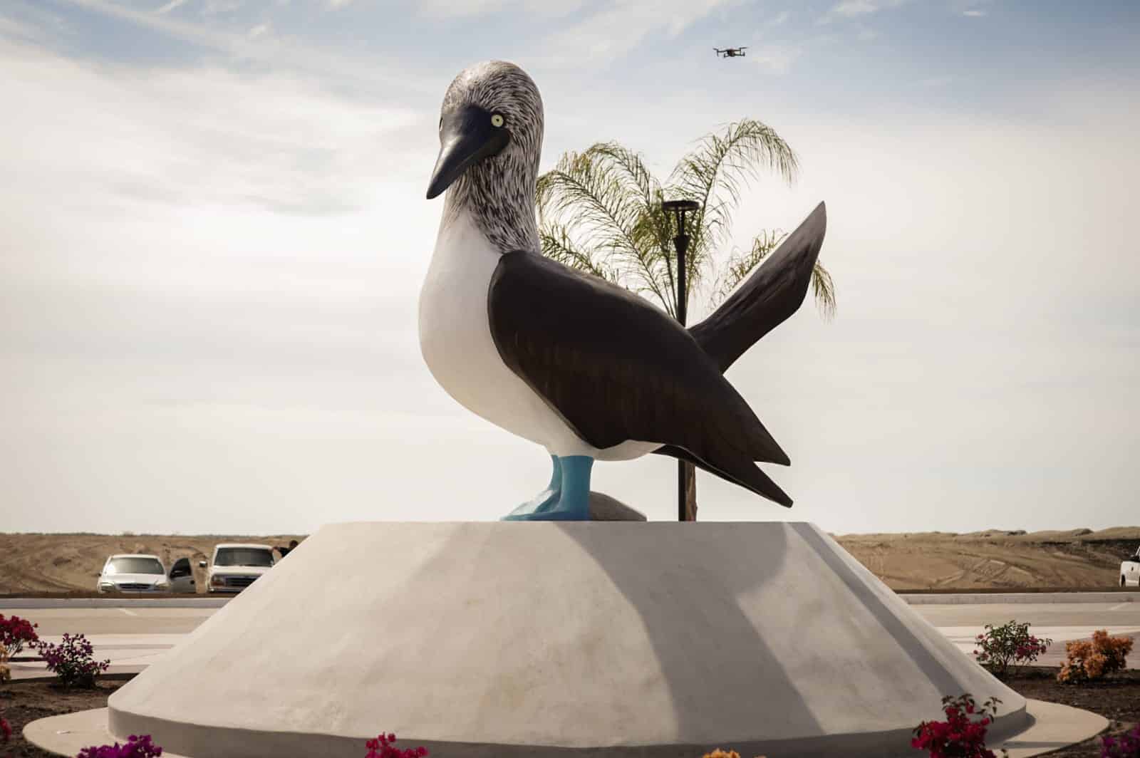 Se impulsará economía de Angostura con inauguración del Malecón de La Reforma; Rocha inaugura obras 